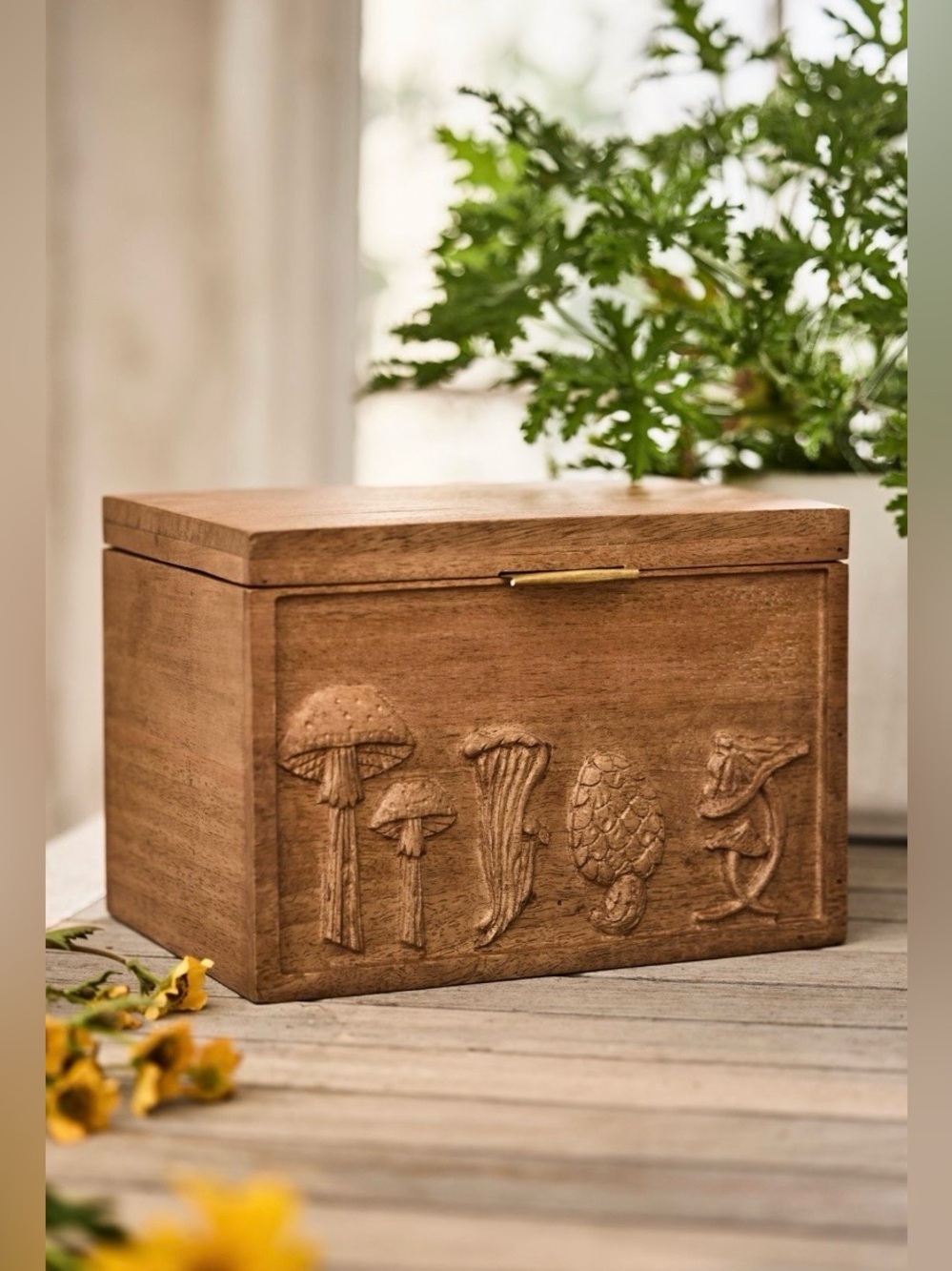 Anthropologie Terrain Mushroom Seed Storage Box NWT
